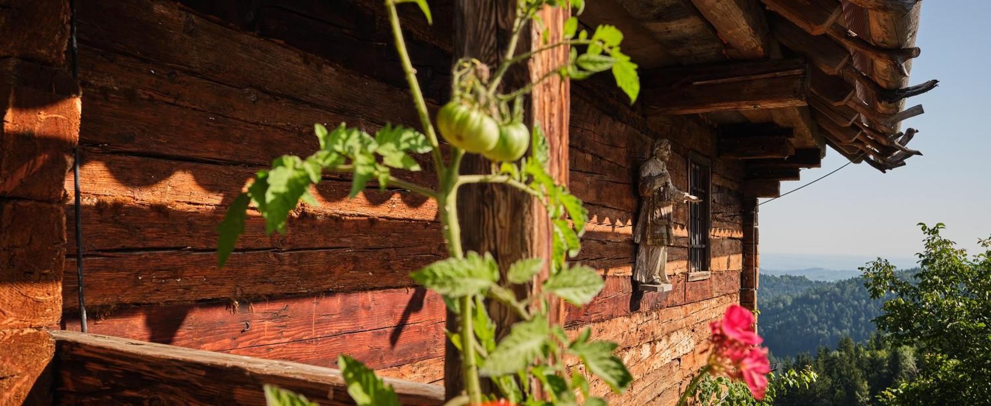 Chalets Toplak Sveti Duh na Ostrem Vrhu Exteriör bild