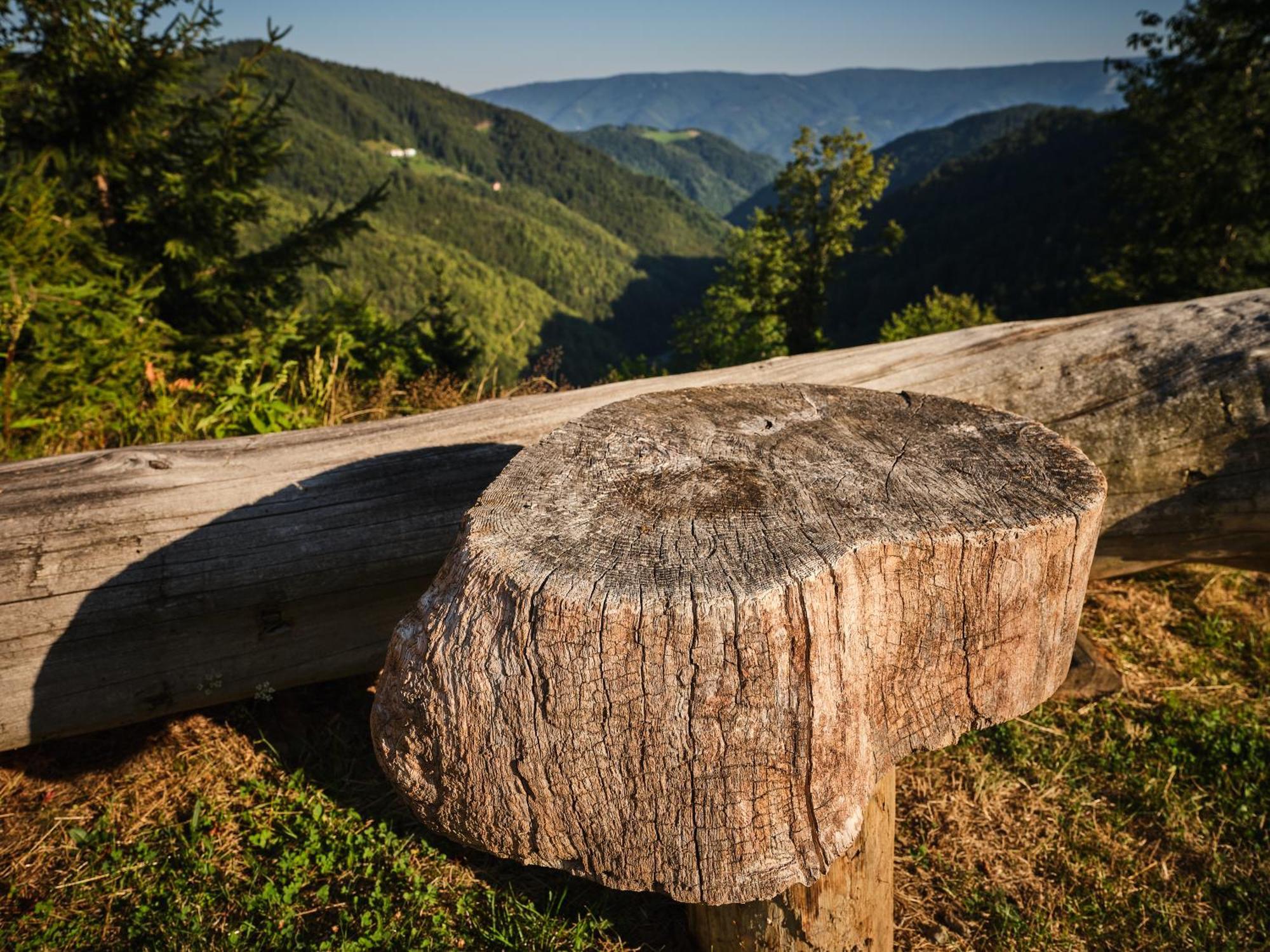 Chalets Toplak Sveti Duh na Ostrem Vrhu Exteriör bild