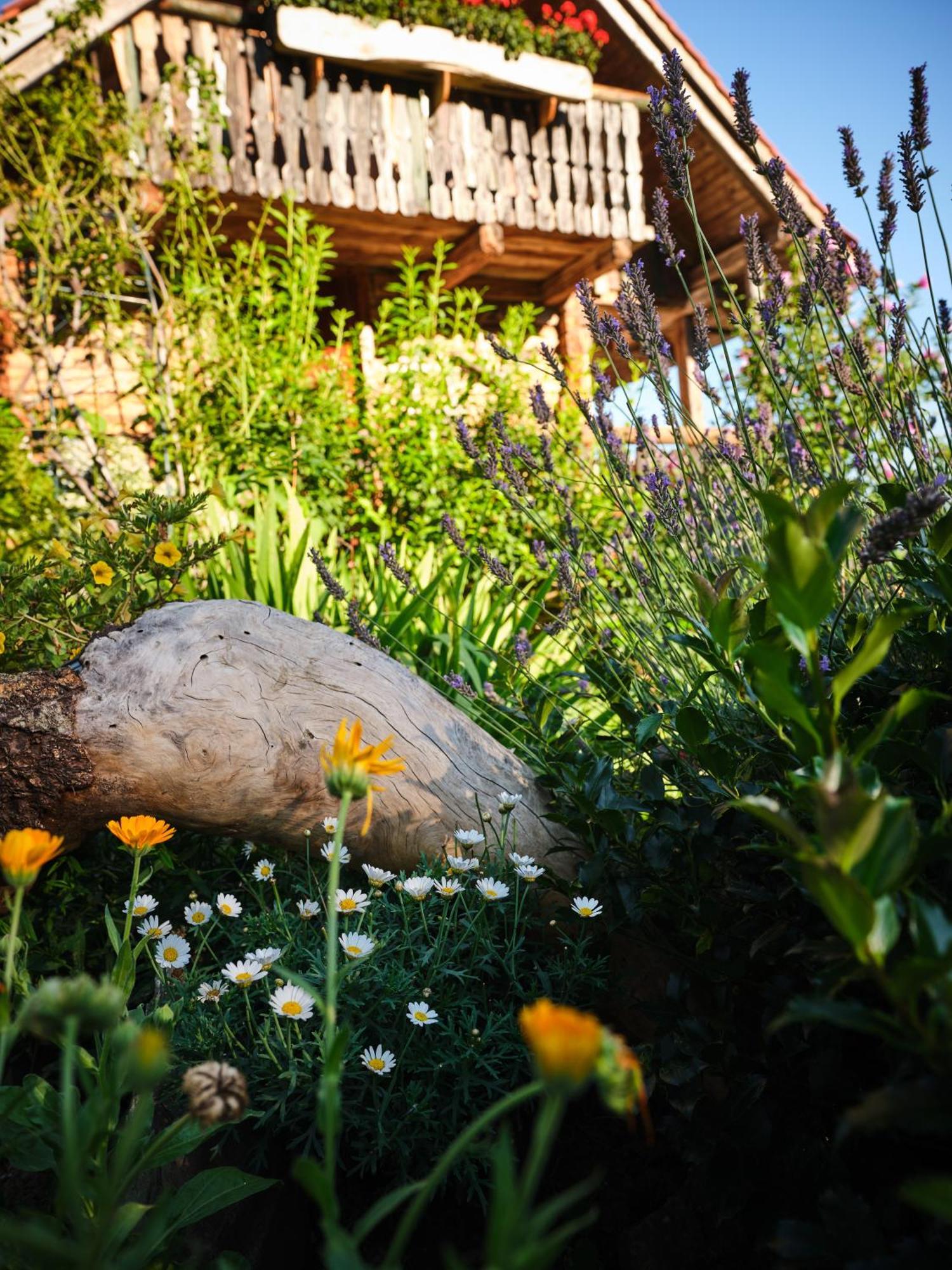 Chalets Toplak Sveti Duh na Ostrem Vrhu Exteriör bild