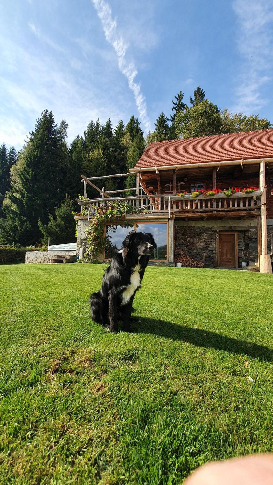 Chalets Toplak Sveti Duh na Ostrem Vrhu Exteriör bild